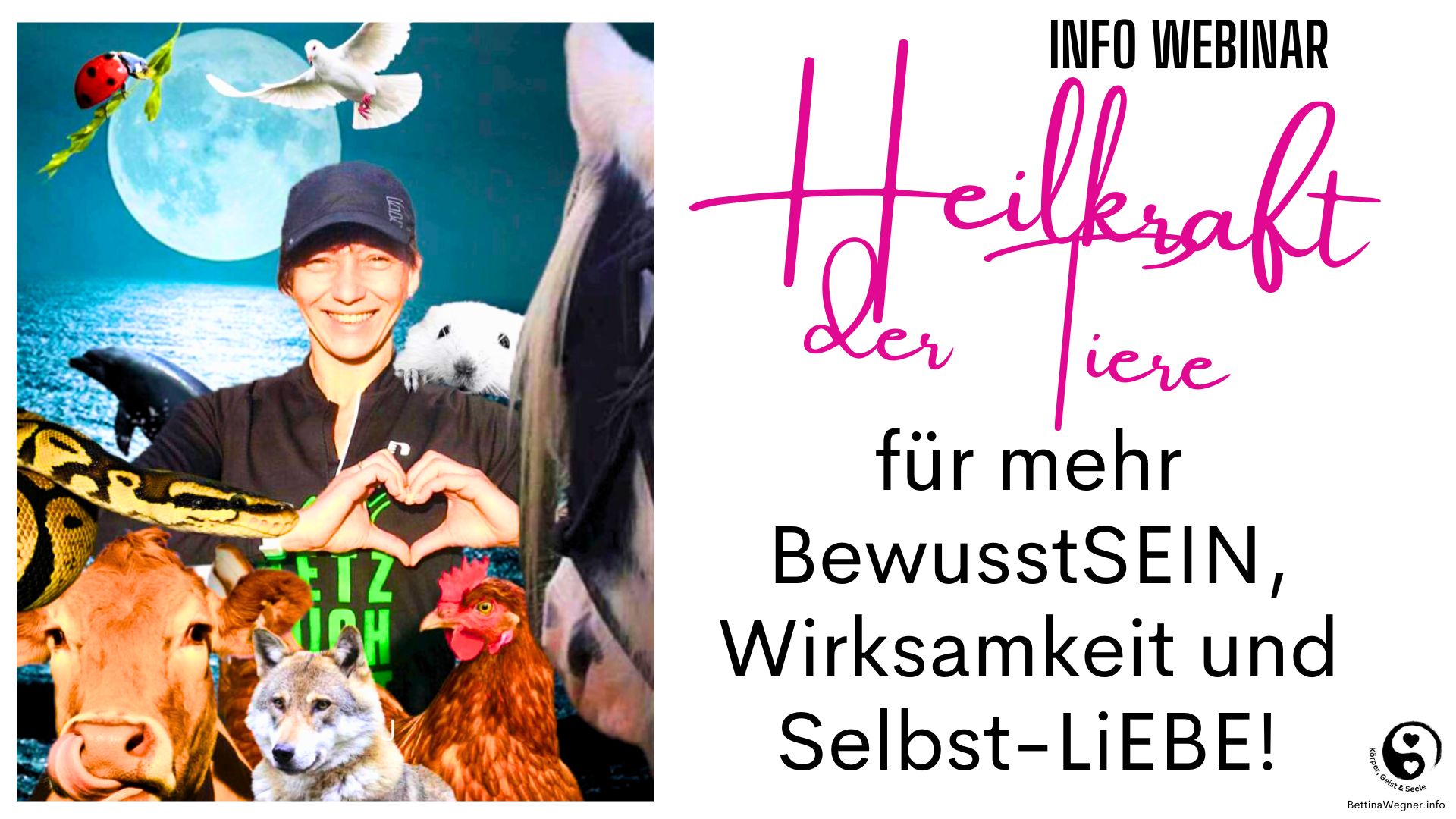 Der nächste 4-wöchige ONLINE Gruppen-Kurs startet am 01.07.24 - das 1:1 Coaching nach Vereinbarung für 8 Wochen (Preis 580,- €) 