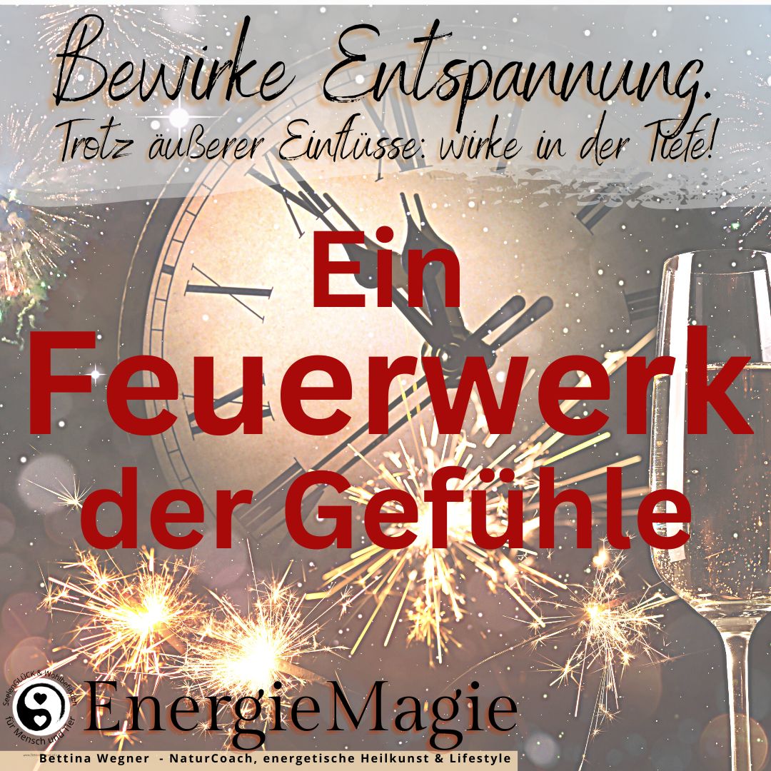 Silvester und Knallerei: Ein Feuerwerk der Gefühle und Emotionswelten. Für Tiere nicht verständlich...