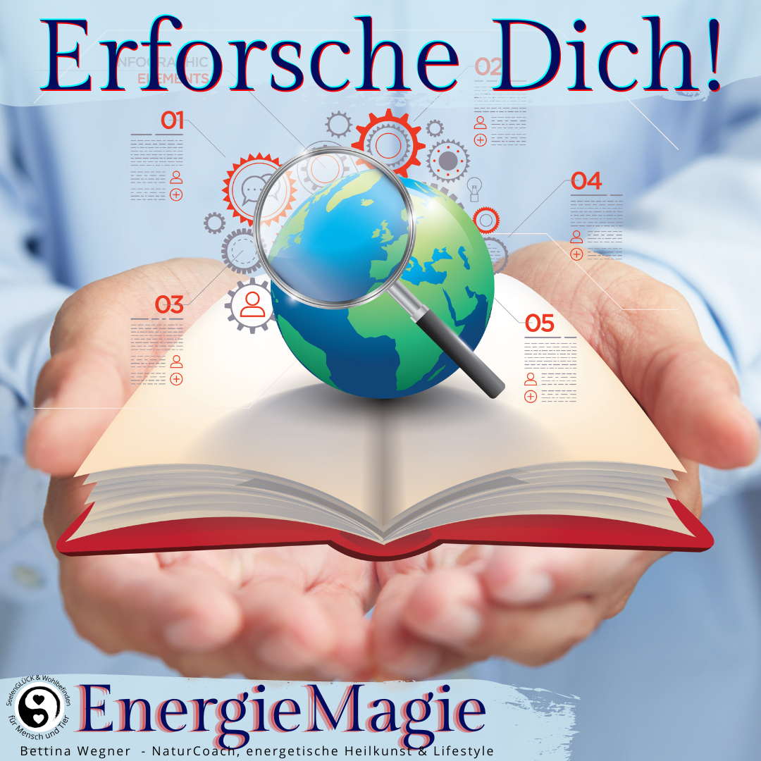 Ich helfe Dir, Dich über eine SeelenREISE in der tiefe selbst zu erforschen. Es ist die universelle Weisheit und EnergieMagie, die das möglich machen kann. Und Dein eigener Wille!